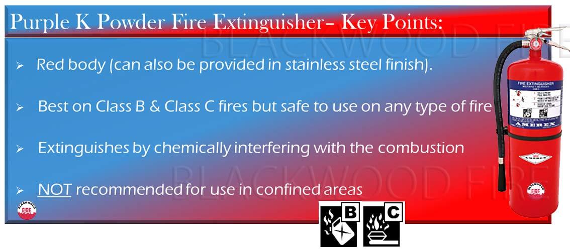 Purple K Extinguisher - with Key Points